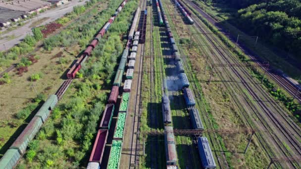 Vista Aérea Drone Voador Trens Carga Coloridos Estação Ferroviária — Vídeo de Stock