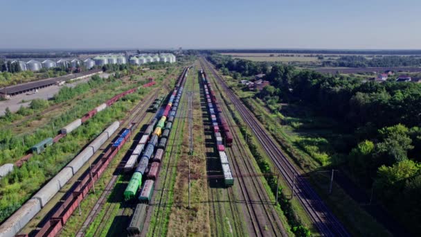 Freight Station Trains Cargo Transportation — Video