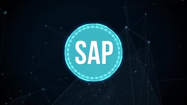 Internet Negócios Tecnologia Conceito Rede Conceito Automação Software Sistema Sap — Vídeo de Stock