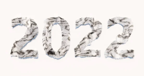 Rendering New Year 2022 Date Made White Fur Gray Stripes — Fotografia de Stock