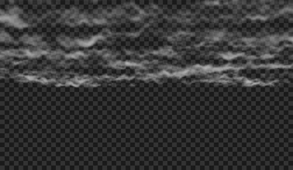 Ilustração Vetorial Nuvem Fofa Neblina Fundo Transparente Fenómeno Meteorológico —  Vetores de Stock
