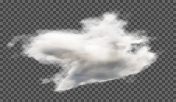 矢量图解 在透明的背景上 毛茸茸的云彩或薄雾 天气现象 — 图库矢量图片