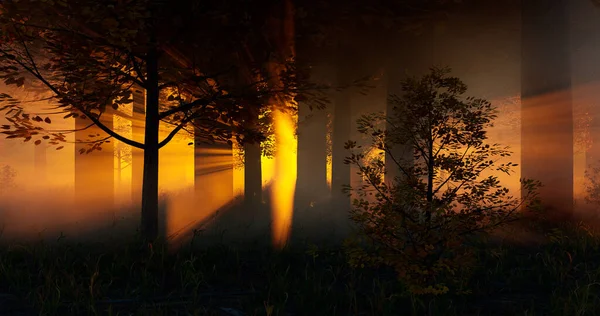 Візуалізація Ілюстрація Осіннього Лісу Сонячному Світлі Тумані — стокове фото