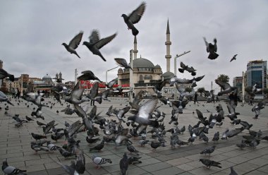 İstanbul 'da Taksim Meydanı' nda güvercinler. Taksim Camii Taksim Meydanı 'nda