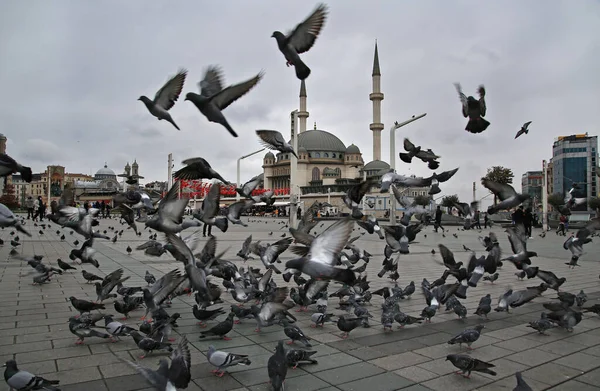 Holubice Náměstí Taksim Istanbulu Taksim Camii Náměstí Taksim — Stock fotografie