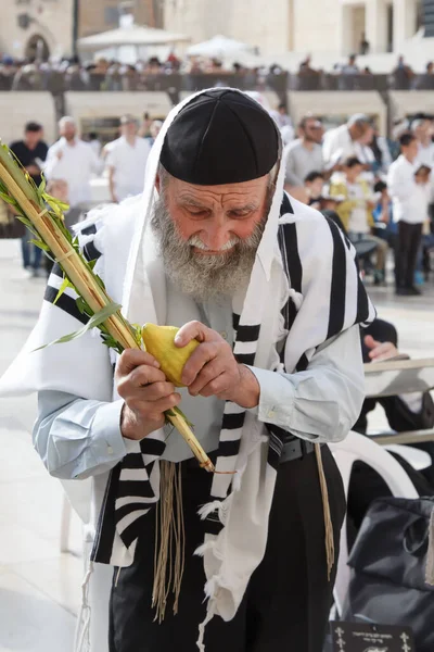 Izrael Jeruzalém Října 2017 Oslava Sukkotu Západní Zdi Židovské Hasidic — Stock fotografie