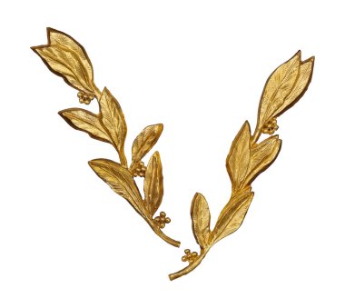 Beyaz arka planda izole edilmiş çiçek desenli altın dekoratif bir element. Kırpma yolu ile tasarım ögesi