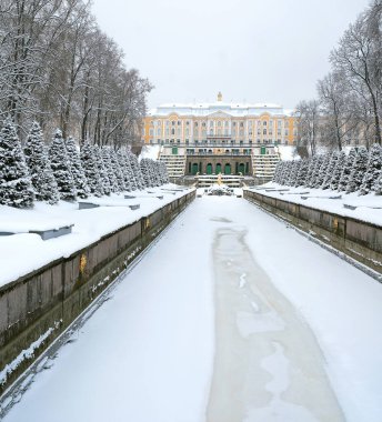 St. Petersburg, Rusya - 28 Aralık 2021: Peterhof, St. Petersburg, Rusya 'daki saray parkında ağaçlarla kaplı kış manzarası