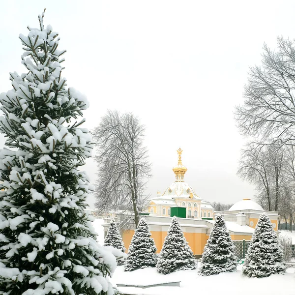 Petersburg Russia December 2021 Winter Landscape Trees Snow Palace Park — Stock Photo, Image