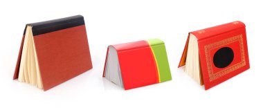 Beyaz arka planda izole edilmiş ayakta duran kitaplar