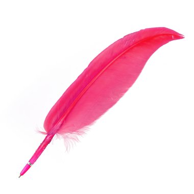 Beyaz arkaplanda tüy bulunan pembe top kalem.