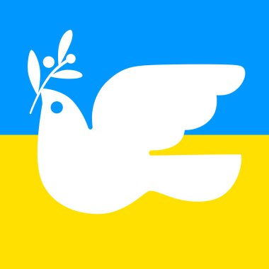Ukrayna bayrağının renklerinde uçan güvercin defne dalına sahiptir. Barış sembolü, savaş konsepti yok. İzole vektör illüstrasyonu. 