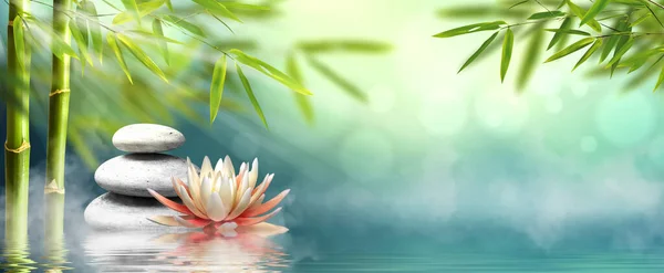 Spa, kaplıca - masaj taşlar ve nilüfer su doğal alternatif tedavi
