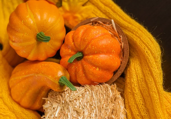 Three Beatiful Pumpkin Autumn Background Knitted Sweater Autumn Season Cozy — Stock Photo, Image