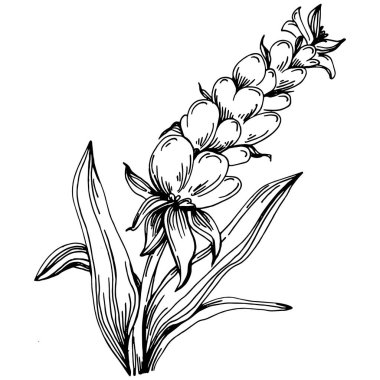 Lavanta yalıtılmış çizim çizimi. Düğün otu, bitki ya da davetiye için zarif yapraklı monogram için el yapımı unsur tarih kartı tasarımını kaydet. Botanik kırsal trend yeşilliği.