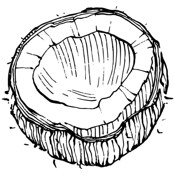 Schizzo Del Cocco Vettoriale Disegnato Mano Illustrazione Cibo Tropicale Vettoriale — Vettoriale Stock
