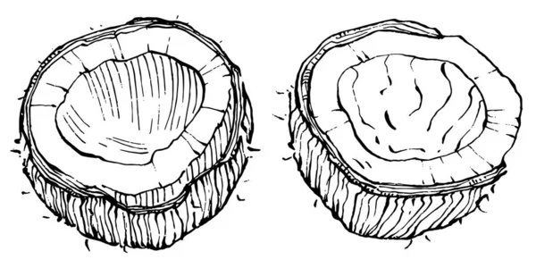 Croquis Vectoriel Dessiné Main Illustration Vectorielle Des Aliments Tropicaux Style — Image vectorielle