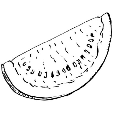 Karpuz çizimi vektör çizimi. İzole edilmiş el resmi beyaz arka planda. Yaz meyvesi oymalı tasvir. Yiyecek ambalajı için dekorasyon.