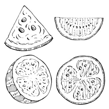 Karpuz çizimi vektör çizimi. İzole edilmiş el resmi beyaz arka planda. Yaz meyvesi oymalı tasvir. Yiyecek ambalajı için dekorasyon.