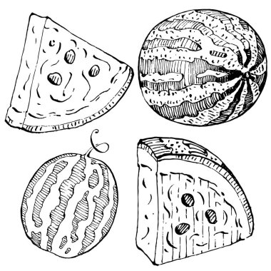 Karpuz çizimi vektör çizimi. İzole edilmiş el resmi beyaz arka planda. Yaz meyvesi oymalı tasvir. Yiyecek ambalajı için dekorasyon.