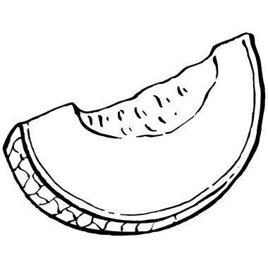 Kavun gerçekçi vektör çizimi. Restoran menüsü, market etiketi, logo, amblem ve mutfak tasarımı için dekoratif retro koleksiyon el yapımı çiftlik ürünü. Yiyecek ambalajı için dekorasyon.