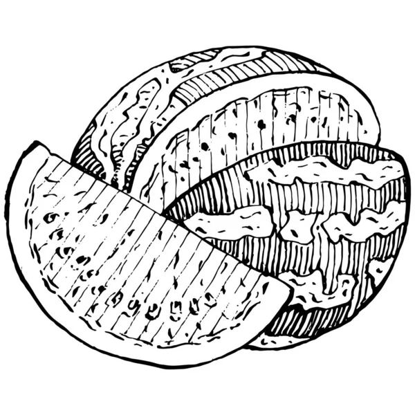 Watermeloen Schets Vector Tekening Geïsoleerde Hand Getrokken Bes Witte Achtergrond — Stockvector