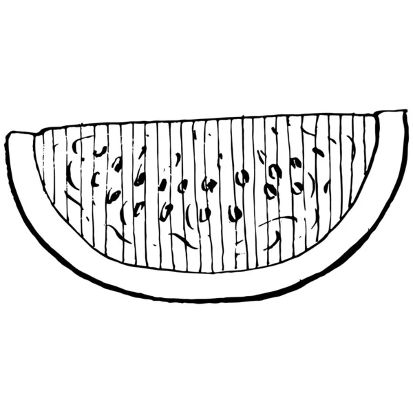 Desenho Vetorial Esboço Melancia Baga Desenhada Mão Isolada Fundo Branco — Vetor de Stock