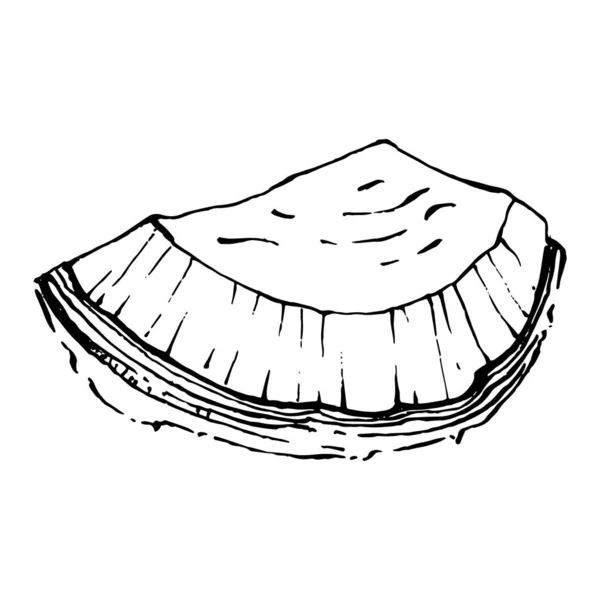 Vector Coco Dibujado Mano Sketch Ilustración Alimentos Tropicales Vectoriales Estilo — Archivo Imágenes Vectoriales