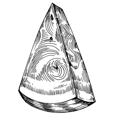 Karpuz çizimi vektör çizimi. İzole edilmiş el resmi beyaz arka planda. Yaz meyvesi oymalı tasvir. Yiyecek ambalajı için dekorasyon.