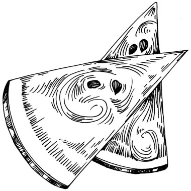 Karpuz çizimi vektör çizimi. İzole edilmiş el resmi beyaz arka planda. Yaz meyvesi oymalı tasvir. Yiyecek ambalajı için dekorasyon.