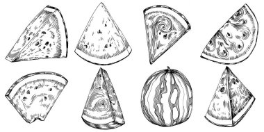 Karpuz çizimi vektör çizimi. İzole edilmiş el resmi beyaz arka planda. Yaz meyvesi oymalı tasvir. Yiyecek ambalajı için dekorasyon.