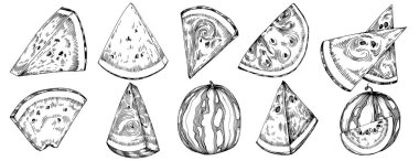 Karpuz çizimi vektör çizimi. İzole edilmiş el resmi beyaz arka planda. Yaz meyvesi oymalı tasvir. Yiyecek ambalajı için dekorasyon.