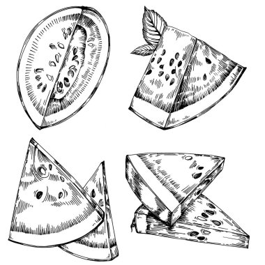 Karpuz çizimi vektör çizimi. İzole edilmiş el resmi beyaz arka planda. Yaz meyvesi oymalı tasvir. Yiyecek ambalajı için dekorasyon.