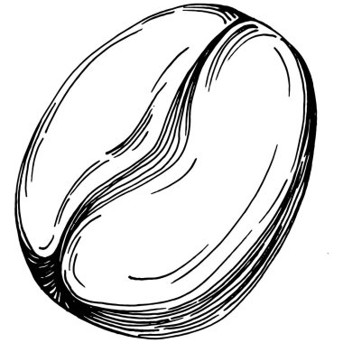 Grafik stili el yapımı kahve ağacı ve fasulye beyaz arka planda. İşlenmiş stil illüstrasyonlu izole bir nesne. Tasarım logosu, menü, etiket, simge, pul için en iyisi.