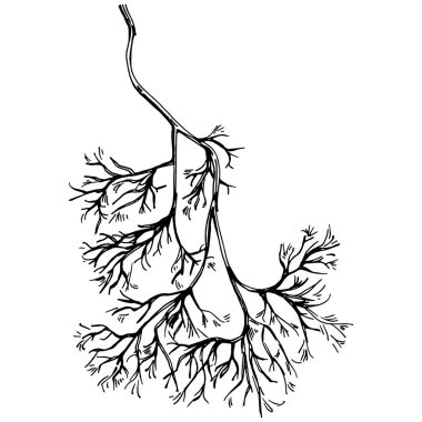 Bitkinin siyah-beyaz yakın çekim görüntüsü
