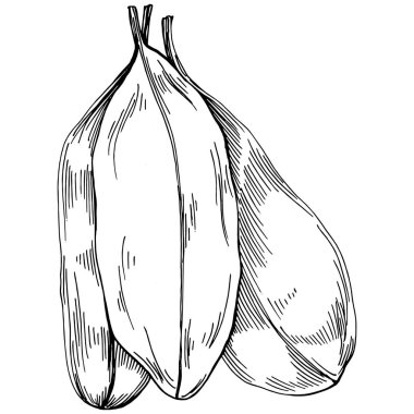 Ispanak taşıyıcı bitkiyi yapraklarla izole etti. Bitki oymalı stil illüstrasyon. Detaylı organik ürün çizimi. Tasarım logosu, menü, etiket, simge, pul için en iyisi..