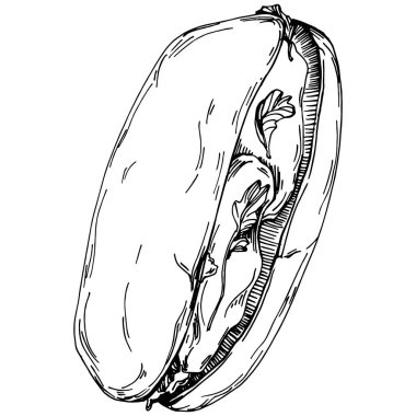 Fast food vektörü izole edildi. İşlenmiş stil çizimi. Ayrıntılı ürün çizimi. Tasarım logosu, menü, etiket, simge, pul için en iyisi.