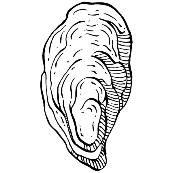 Вектор Устриц Гравировкой Стиль Иллюстрации Логотипа Эмблемы Дизайна Меню Морепродуктов — стоковый вектор