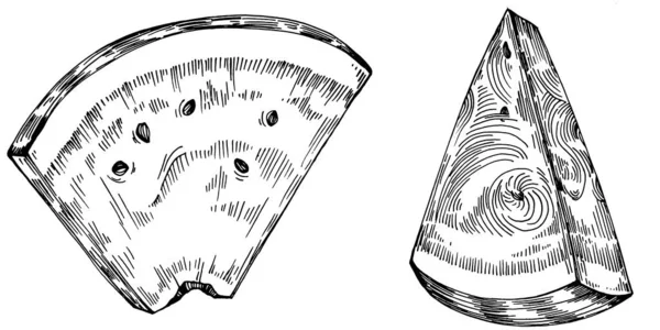 Σχέδιο Διάνυσμα Καρπουζιού Μεμονωμένο Χέρι Ζωγραφισμένο Μούρο Λευκό Φόντο Καλοκαίρι — Διανυσματικό Αρχείο