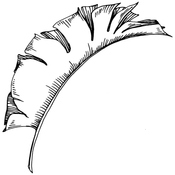 Vektor Exotischen Tropischen Hawaiianischen Sommer Palmenstrand Dschungel Botanische Blätter Schwarz — Stockvektor