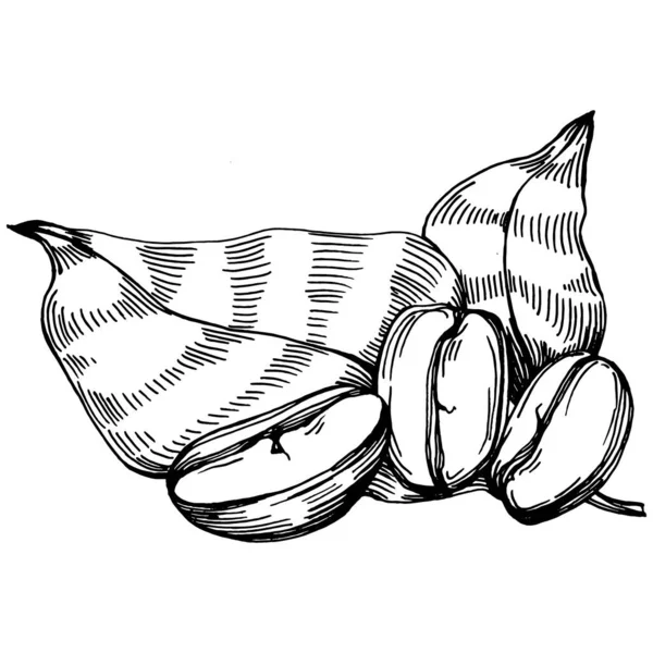 Kaffeebaum Und Bohnen Grafischen Stil Zeichnen Hand Auf Weißem Hintergrund — Stockvektor