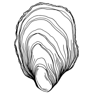 Deniz ürünleri menüsü için amblem ya da amblemin kabartma stili işlenmiş istiridye vektörü, öğle yemeği. Klasik Amerikan et lokantası ya da Fransız büfesi aperatifi..