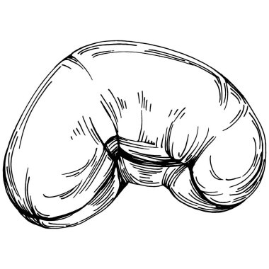 Kaju el çizimi Vektör İllüstrasyonu beyaz arka planda izole edildi. Restoran menüsü, market etiketi, logo, amblem ve mutfak tasarımı için Retro style tarım ürünü. Yiyecek ambalajı için dekorasyon.