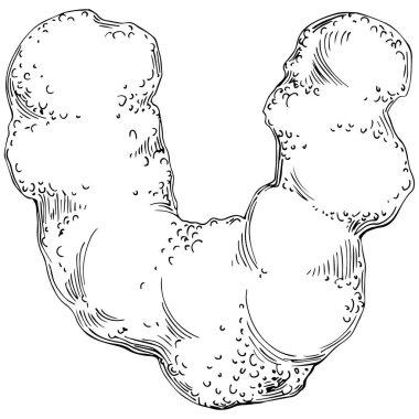 Coral vector isolated plant