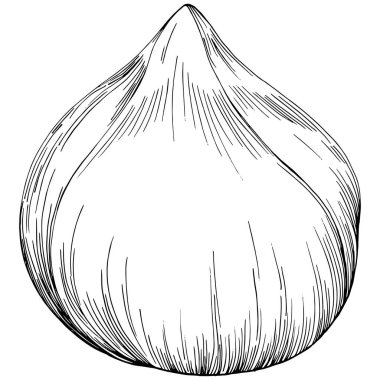 Siyah beyaz klip sanatı, fındık grafik sanatı, beyaz arkaplanda izole edilmiş basit vektör çizimi. 