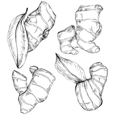 Çiçek ağacı yapraklarının vektör çizimini ayarla, siyah ve beyaz klipsli sanat 