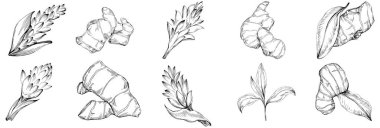 Çiçek ağacı yapraklarının vektör çizimini ayarla, siyah ve beyaz klipsli sanat 