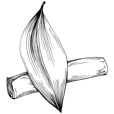 Tarçın ve yaprak, siyah ve beyaz klipsli sanat, beyaz arka plan 