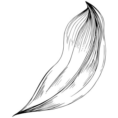 Siyah beyaz klip sanatı, adaçayı sanatının grafiksel sanatı  