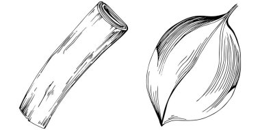 Beyaz arkaplanda izole edilmiş siyah ve beyaz yaprak klip sanatı 